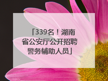 339名！湖南省公安厅公开招聘警务辅助人员