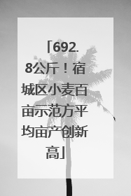692.8公斤！宿城区小麦百亩示范方平均亩产创新高