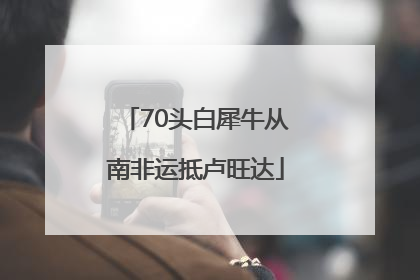 70头白犀牛从南非运抵卢旺达