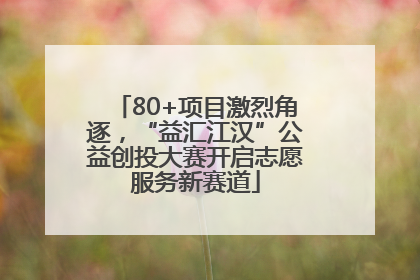 80+项目激烈角逐，“益汇江汉”公益创投大赛开启志愿服务新赛道