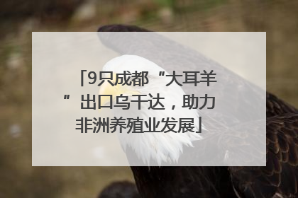 9只成都“大耳羊”出口乌干达，助力非洲养殖业发展