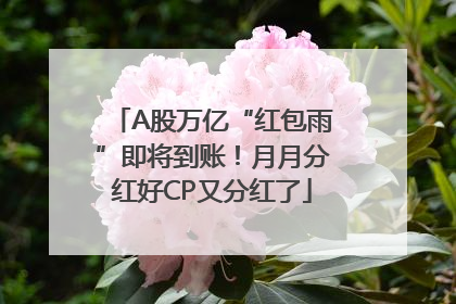A股万亿“红包雨”即将到账！月月分红好CP又分红了