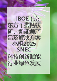 BOE（京东方）携钙钛矿、新能源产品及解决方案亮相2025 SNEC 科技创新赋能行业绿色发展