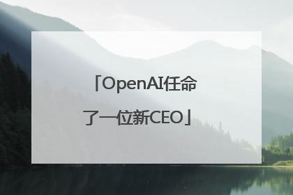 OpenAI任命了一位新CEO