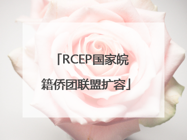 RCEP国家皖籍侨团联盟扩容